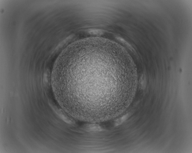 X0000081320424200701111338