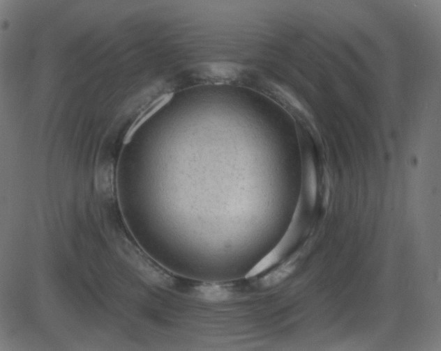 X0000081320425200701111338