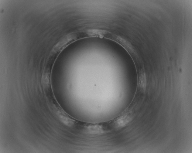 X0000081320426200701111338