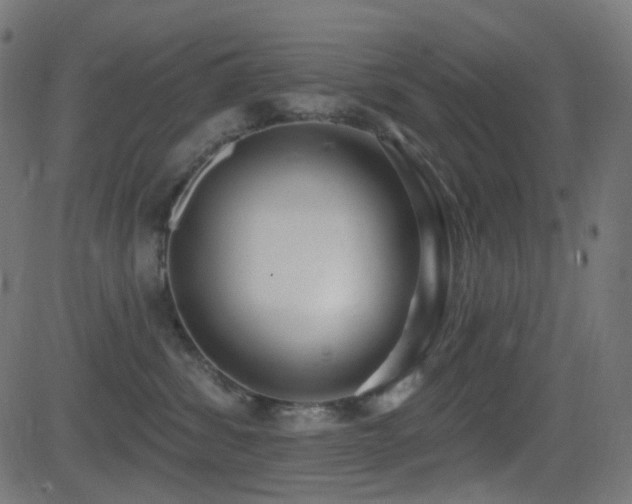 X0000081320428200701111338