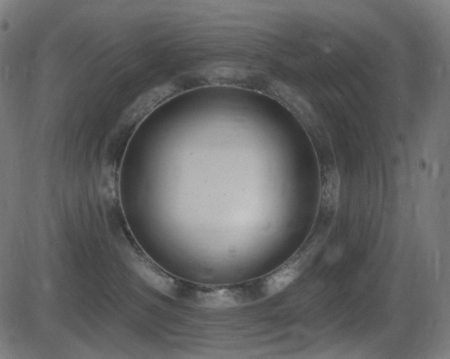 X0000081320430200701111338
