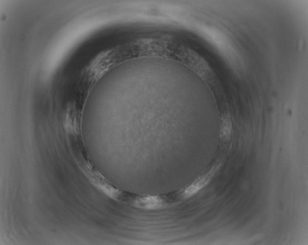 X0000081320431200701111338
