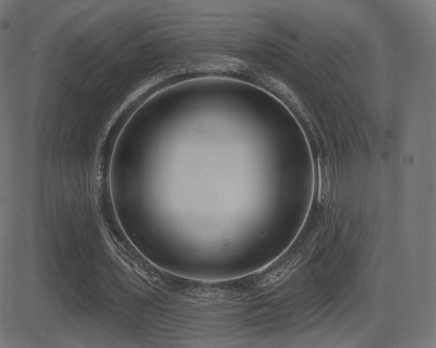 X0000081320435200701111337