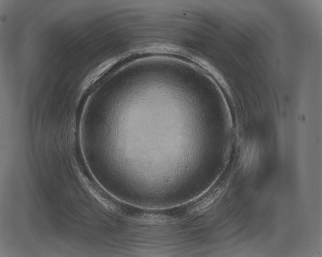 X0000081320437200701111337