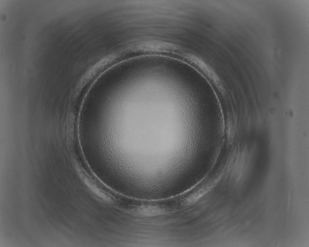 X0000081320445200701111337