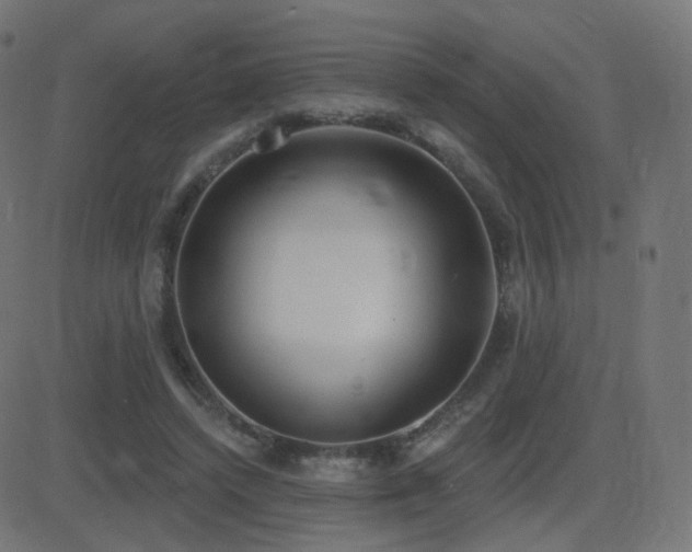 X0000081320448200701111338