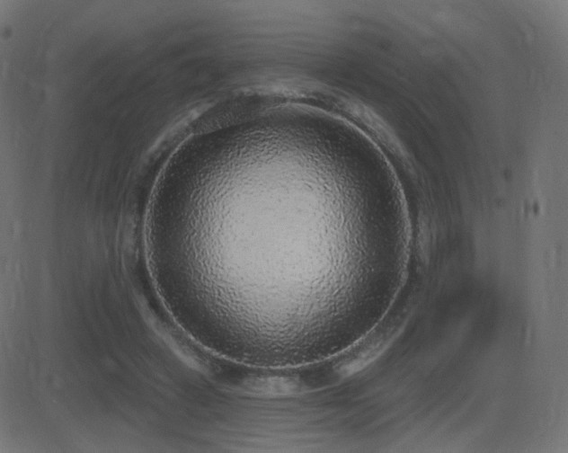 X0000081320449200701111338