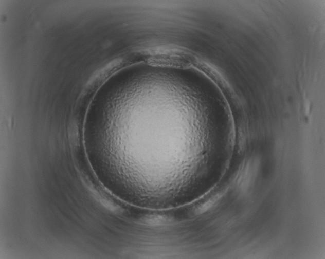X0000081320453200701111338