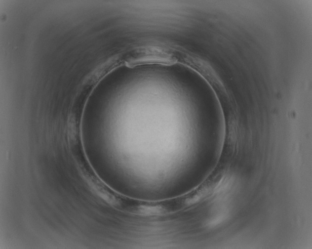 X0000081320457200701111338