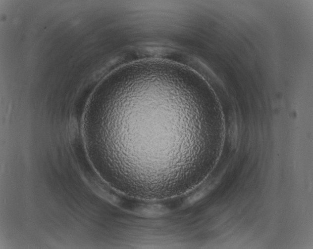 X0000081320459200701111338