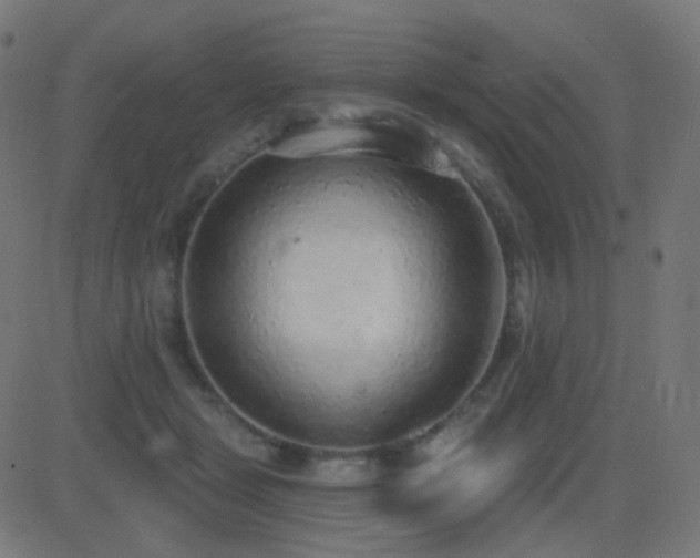 X0000081320461200701111338