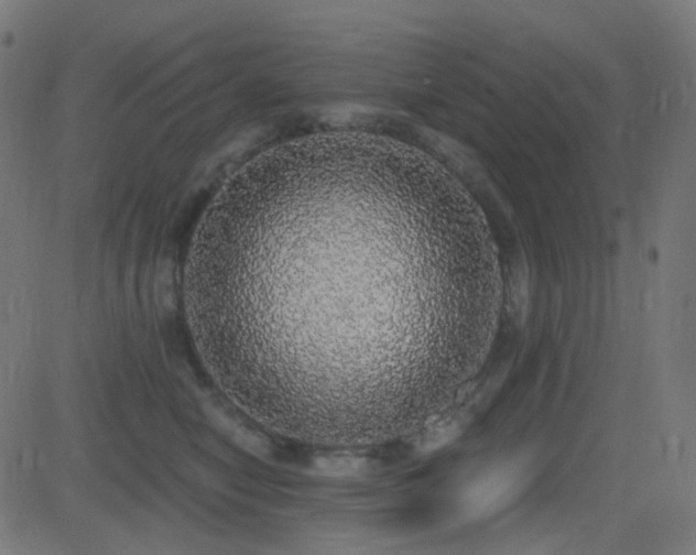 X0000081320470200701111338