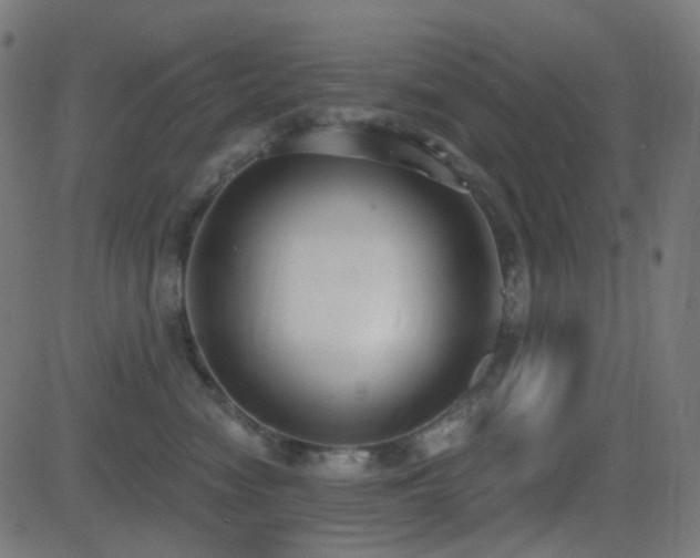 X0000081320474200701111338