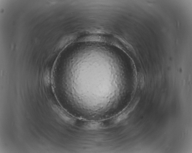 X0000081320479200701111338