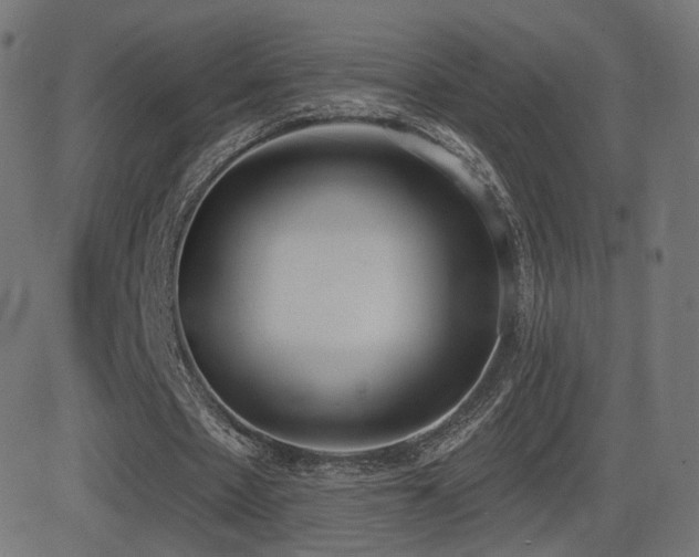 X0000081320481200701111337