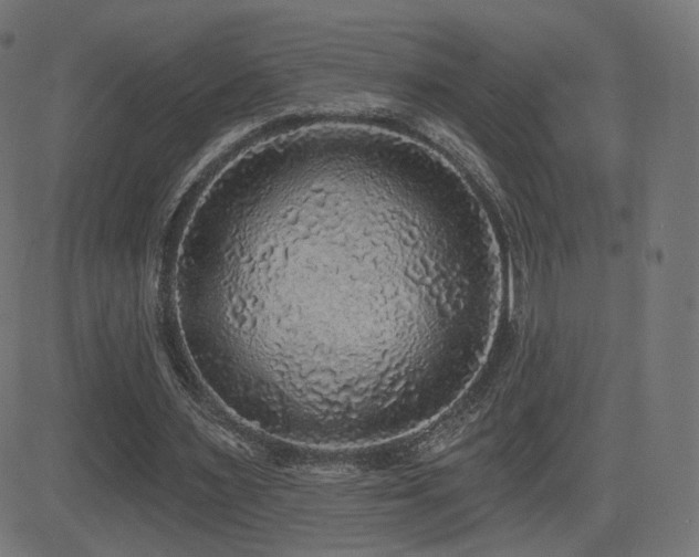 X0000081320483200701111337