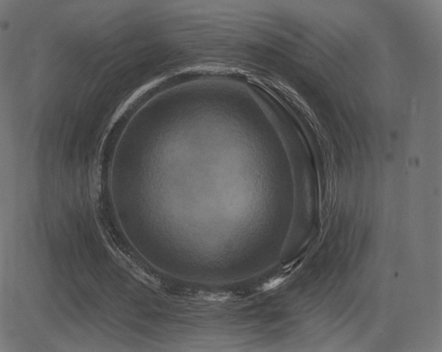 X0000081320484200701111337