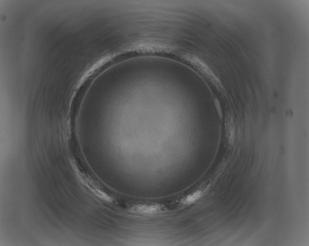 X0000081320488200701111337