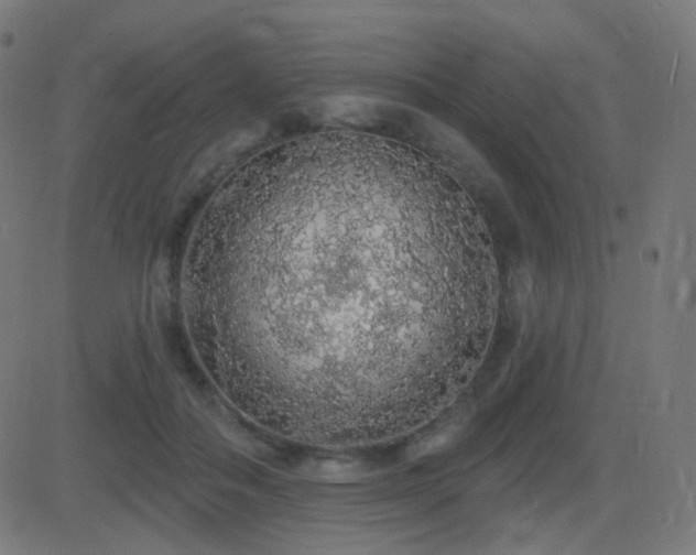 X0000081320506200701111337