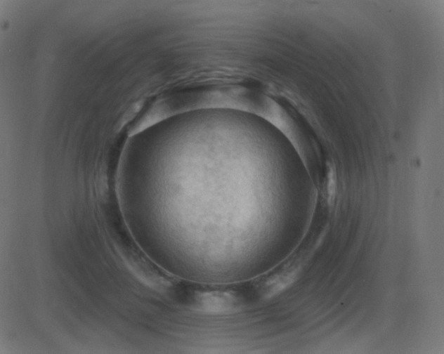 X0000081320508200701111337