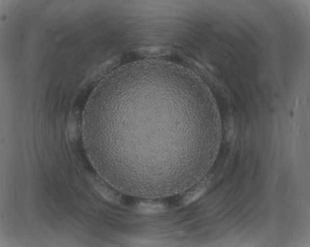 X0000081320515200701111337