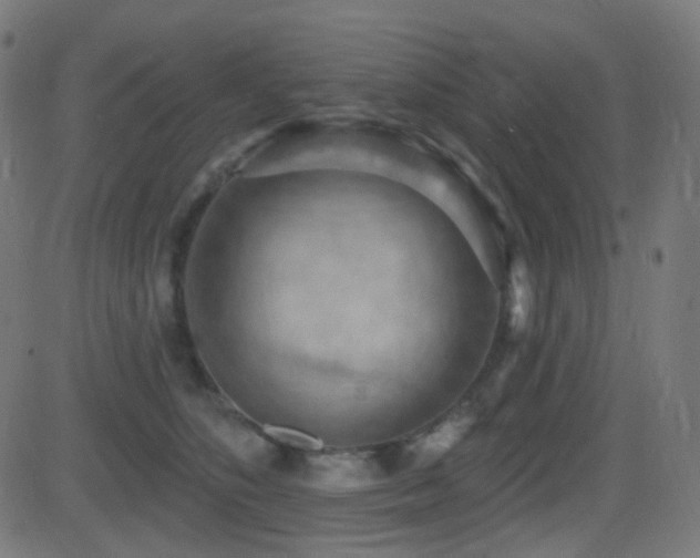 X0000081320516200701111337