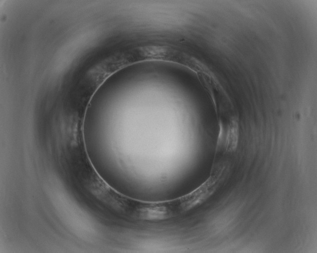 X0000081320525200701111337