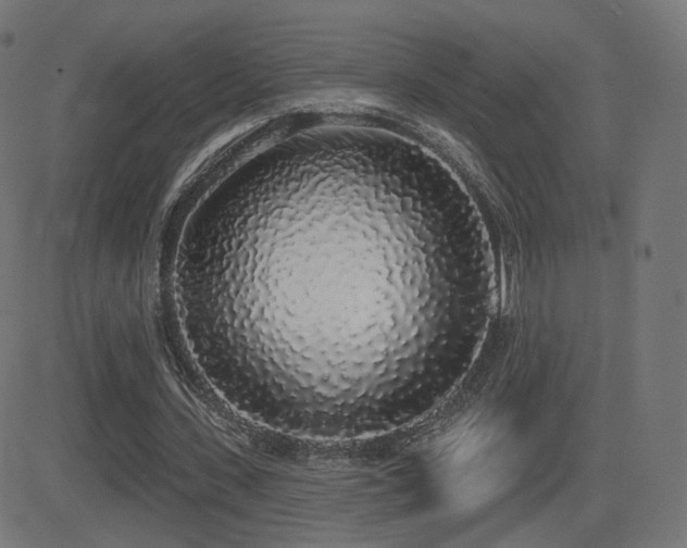 X0000081320531200701111336