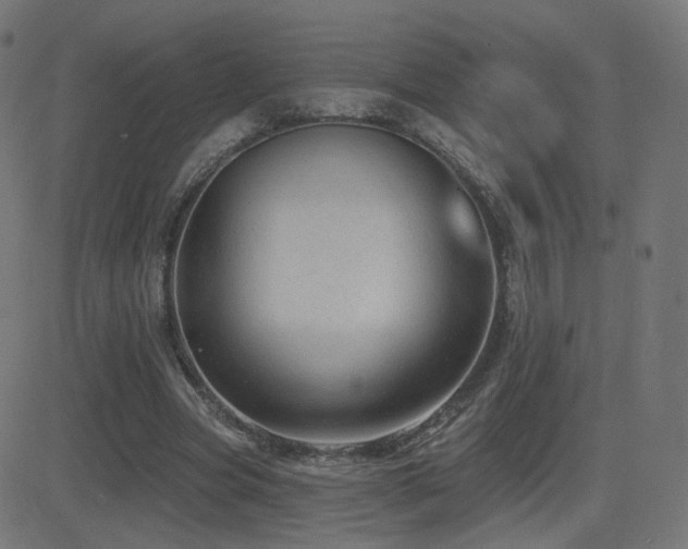 X0000081320537200701111336