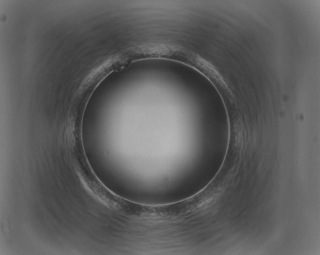 X0000081320538200701111336