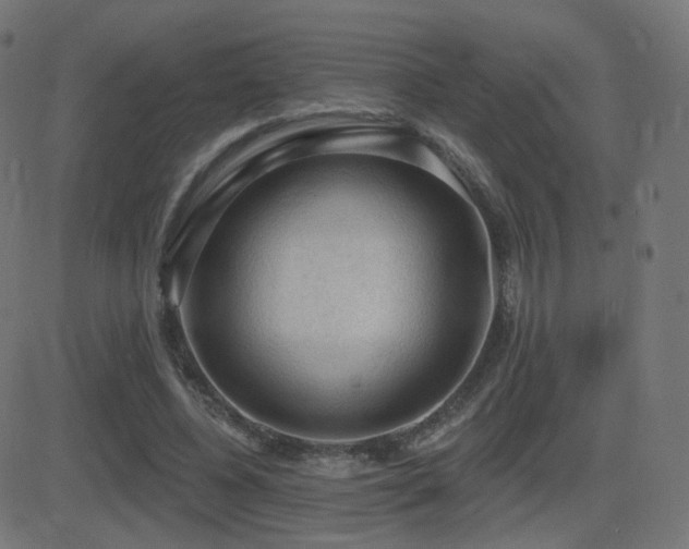 X0000081320540200701111336