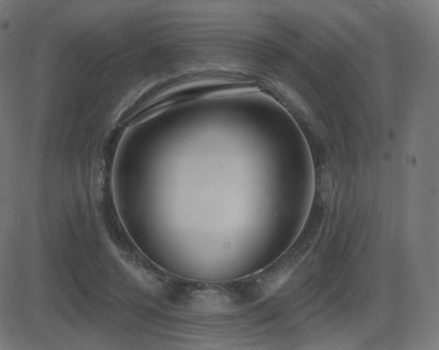 X0000081320544200701111336
