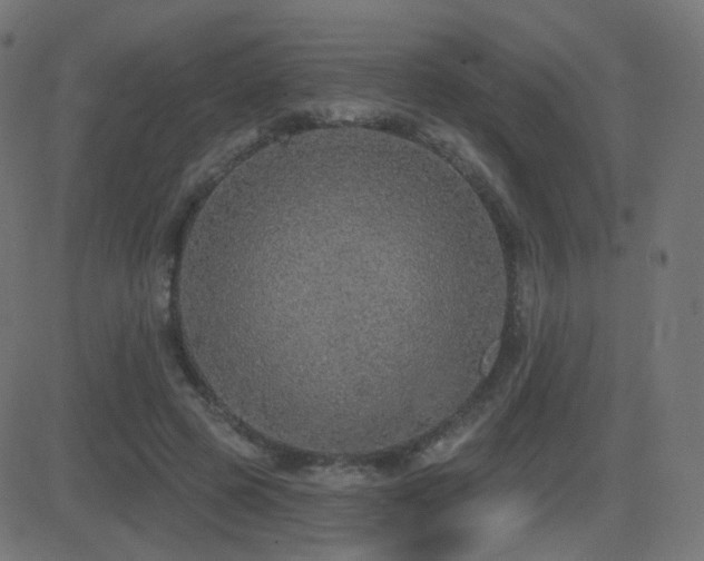 X0000081320545200701111336