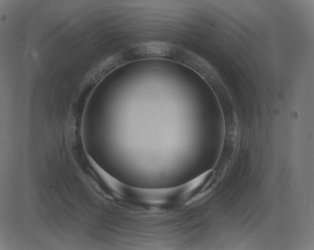 X0000081320552200701111336