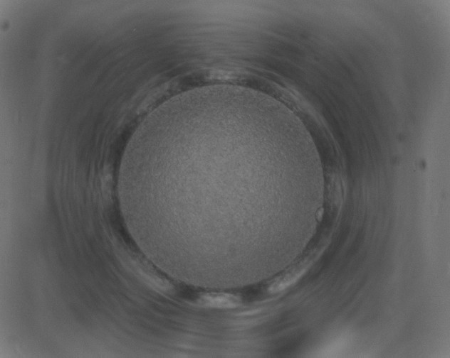 X0000081320557200701111336
