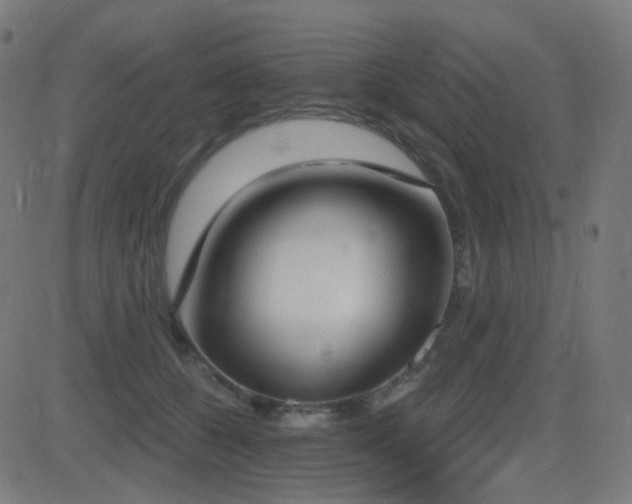 X0000081320560200701111336