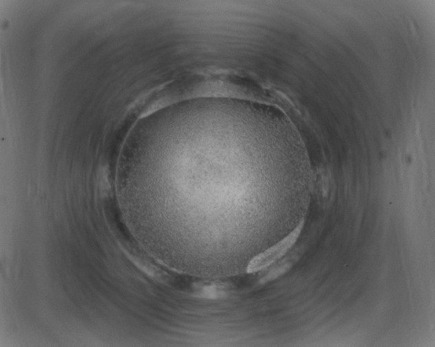 X0000081320564200701111336
