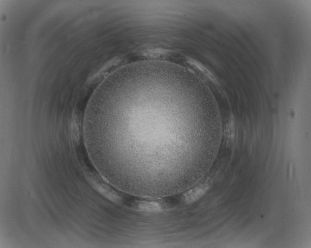 X0000081320572200701111336