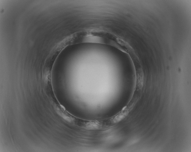 X0000081320574200701111336