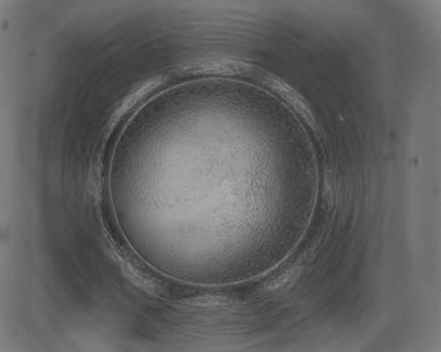 X0000081320578200701111336