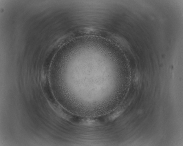 X0000081320607200701111335