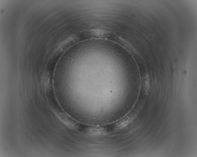 X0000081320615200701111335