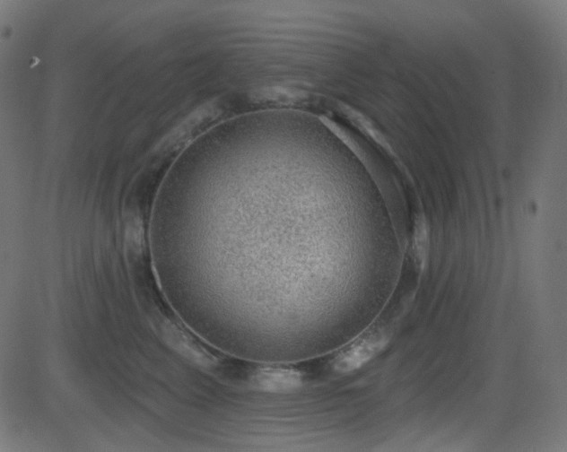 X0000081320617200701111335