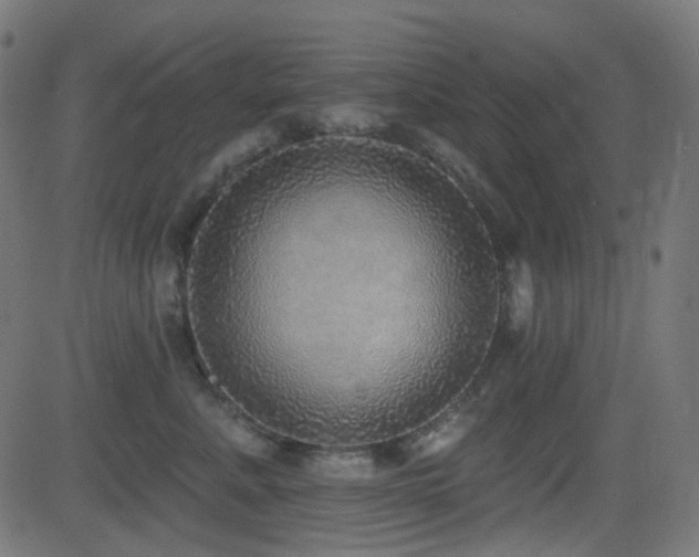 X0000081320619200701111335