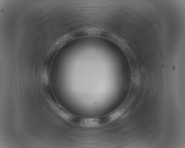 X0000081320622200701111335