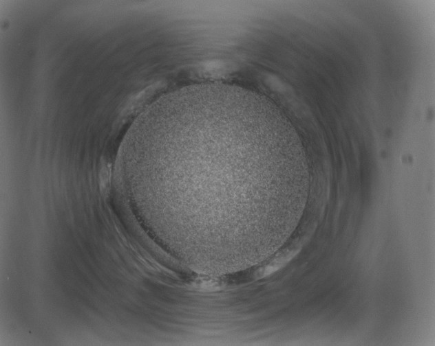 X0000081320624200701111335
