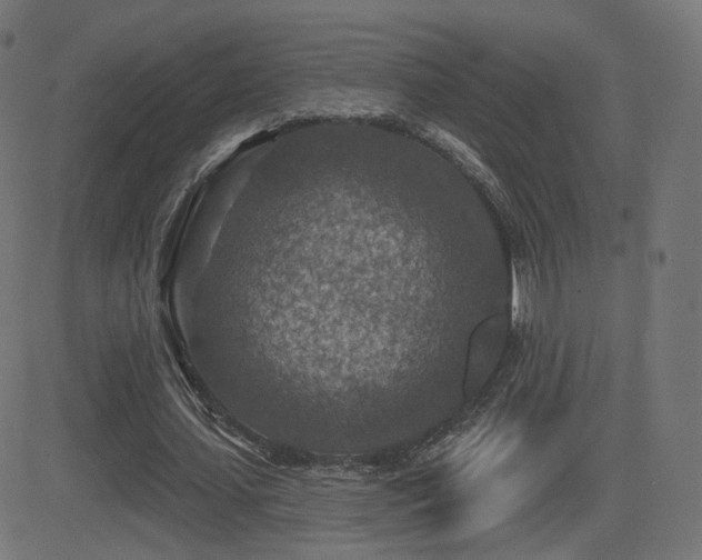 X0000081320627200701111334