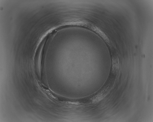 X0000081320628200701111334
