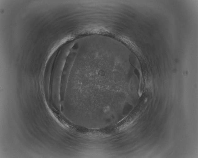 X0000081320630200701111334