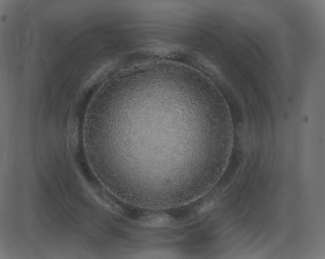 X0000081320642200701111334